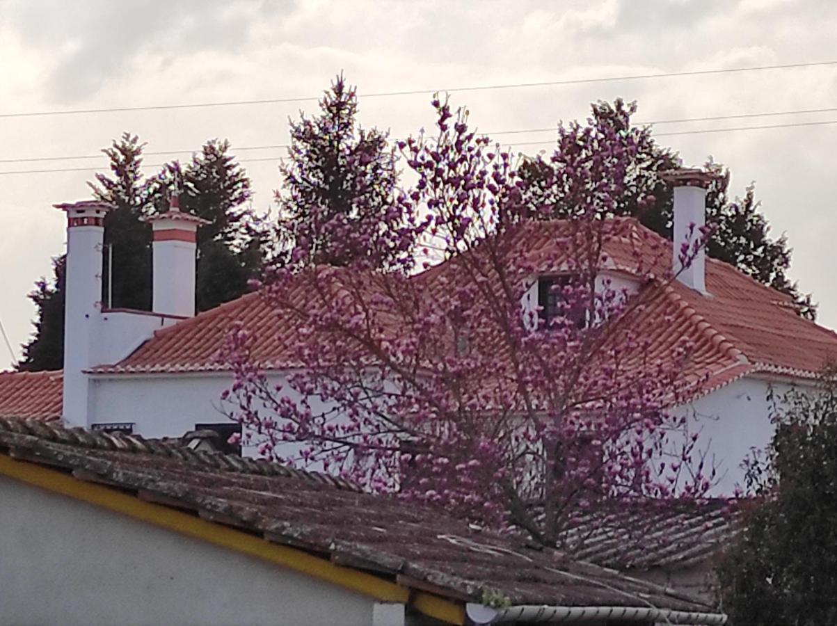 Quinta Do Gestal - Soutelo Daire Vila Verde  Dış mekan fotoğraf