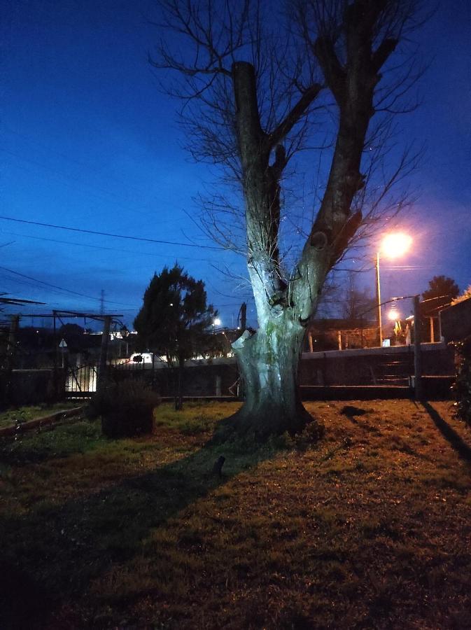 Quinta Do Gestal - Soutelo Daire Vila Verde  Dış mekan fotoğraf