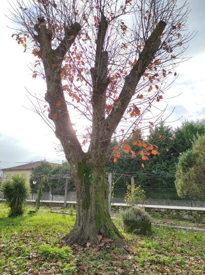 Quinta Do Gestal - Soutelo Daire Vila Verde  Dış mekan fotoğraf