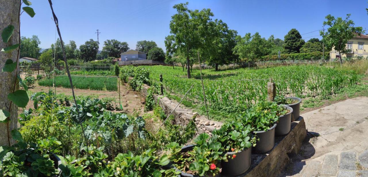 Quinta Do Gestal - Soutelo Daire Vila Verde  Dış mekan fotoğraf